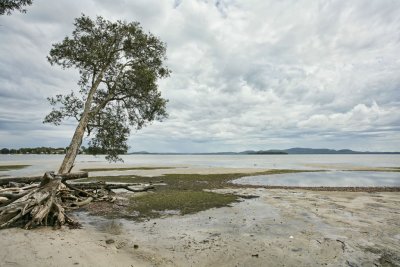 10_02_05 Tanilba Bay