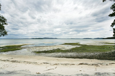 Tanilba037.jpg