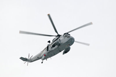 Newie004.jpg