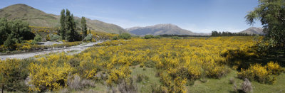 NZ_Pano1.jpg