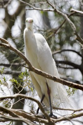 Wetland5.jpg