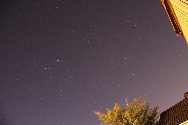 Orion