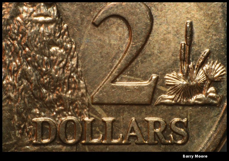 Two dollars close up