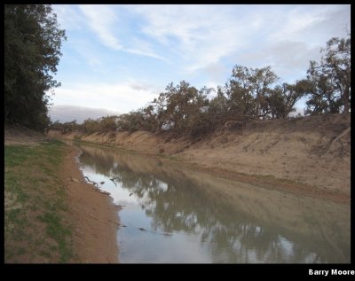 360 Menindee - Darling River.JPG