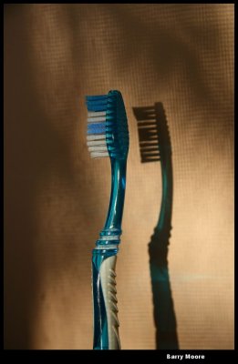28 March - Blue Toothbrush