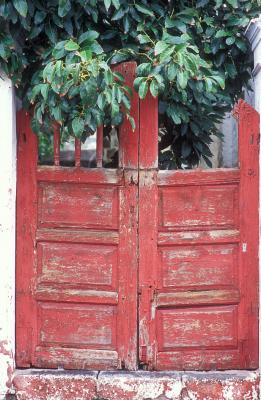 Door in Los Llanos