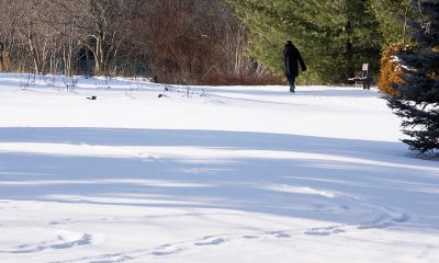 A Solitary Walk