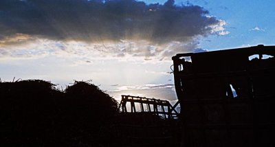 Morning at Crop Time