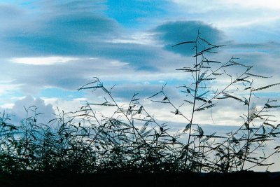 Windy Over MoBay