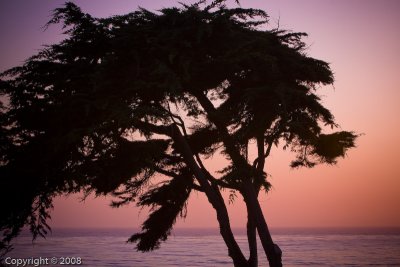 Cambria (2804)