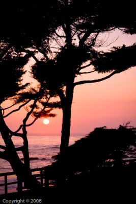 Cambria (2809)