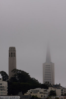 IMG_3115