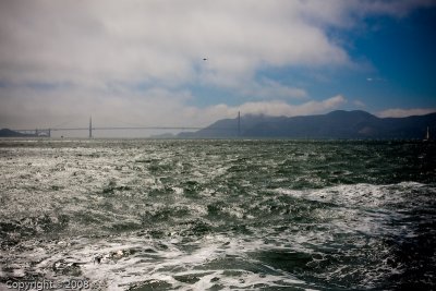 IMG_3176