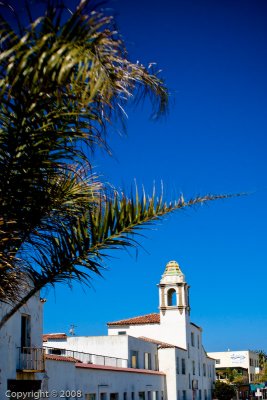 IMG_2686