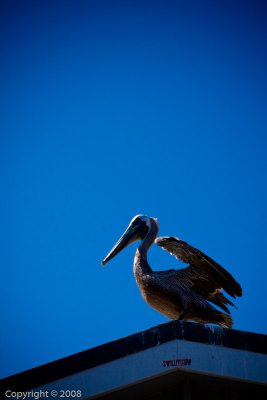 IMG_2702