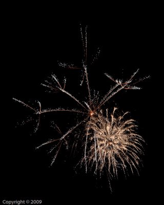 5D2_01778