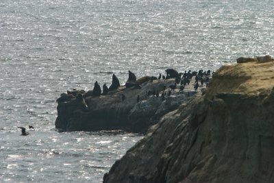 CRW_7052