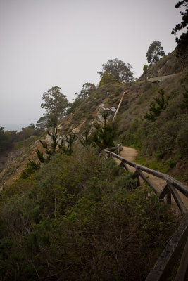The overlook trail