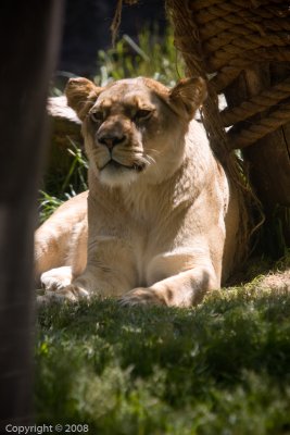 IMG_1622