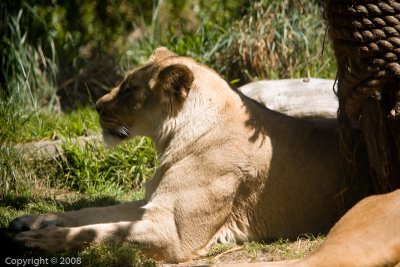 IMG_1623