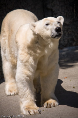 San Francisco Zoo