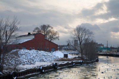 IMG_6547_web.jpg