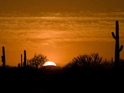 Tucson Area