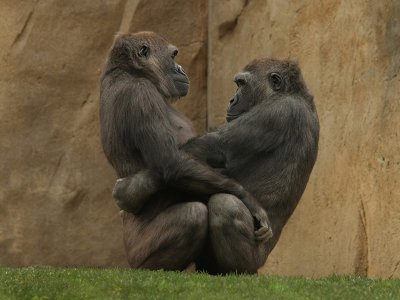 g3/01/731301/3/95790301.E2NE0OUp.jpg