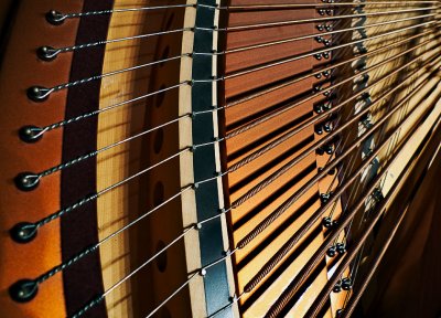 Inside a Grand Piano