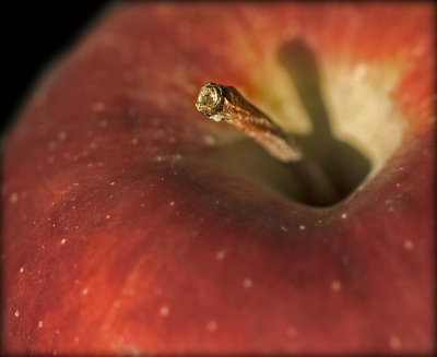 An apple for my teacher.