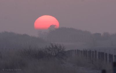 Zonsopkomst / Sunrise