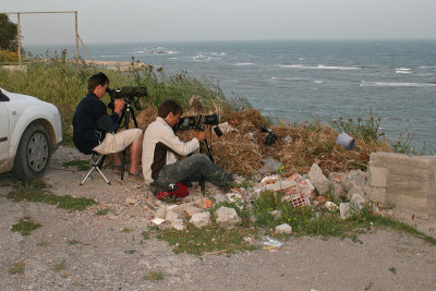 Seawatching from Karatas