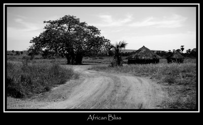 African Bliss