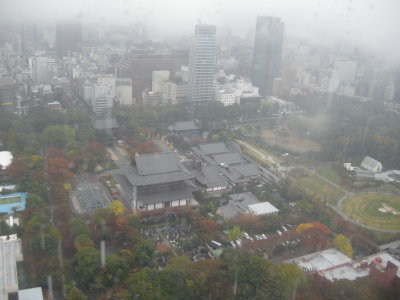 View from the Tokyo Tower