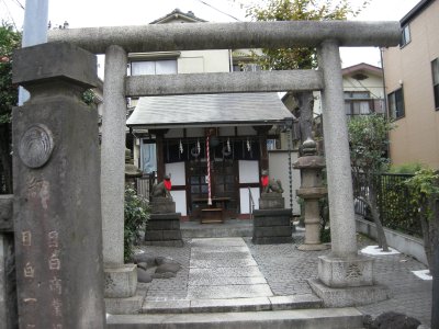 Shrine in Shinjuku