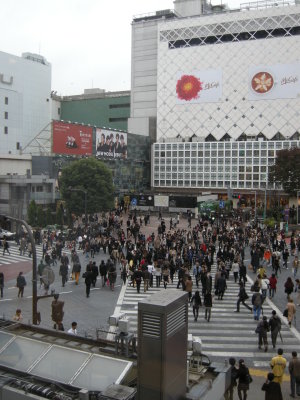 Shibuya crosswalk