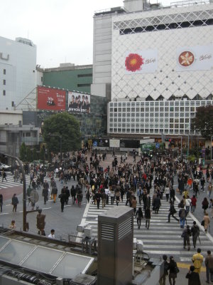 Shibuya crosswalk