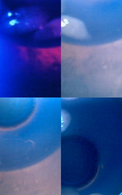 2008-12-30 All in a Glass of Water5.jpg