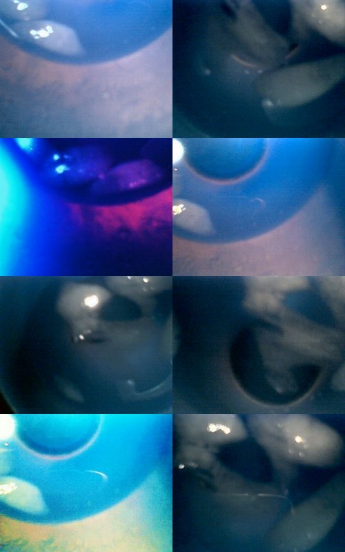 2008-12-30 All in a Glass of Water6.jpg