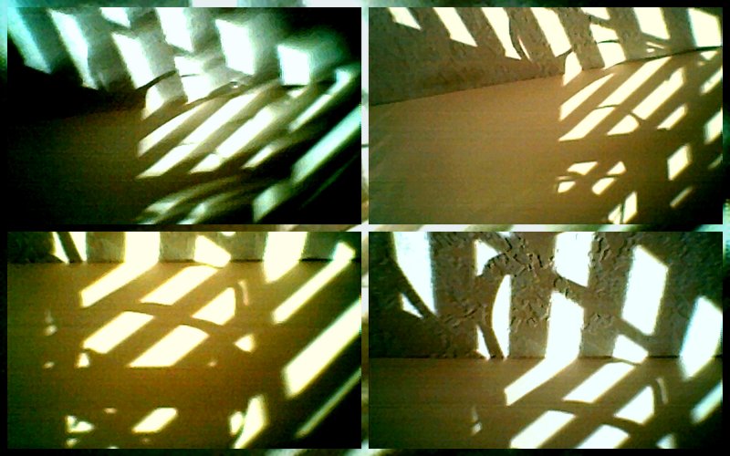 Factory Window.jpg