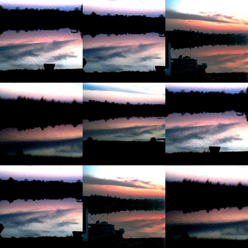 collage118.jpg