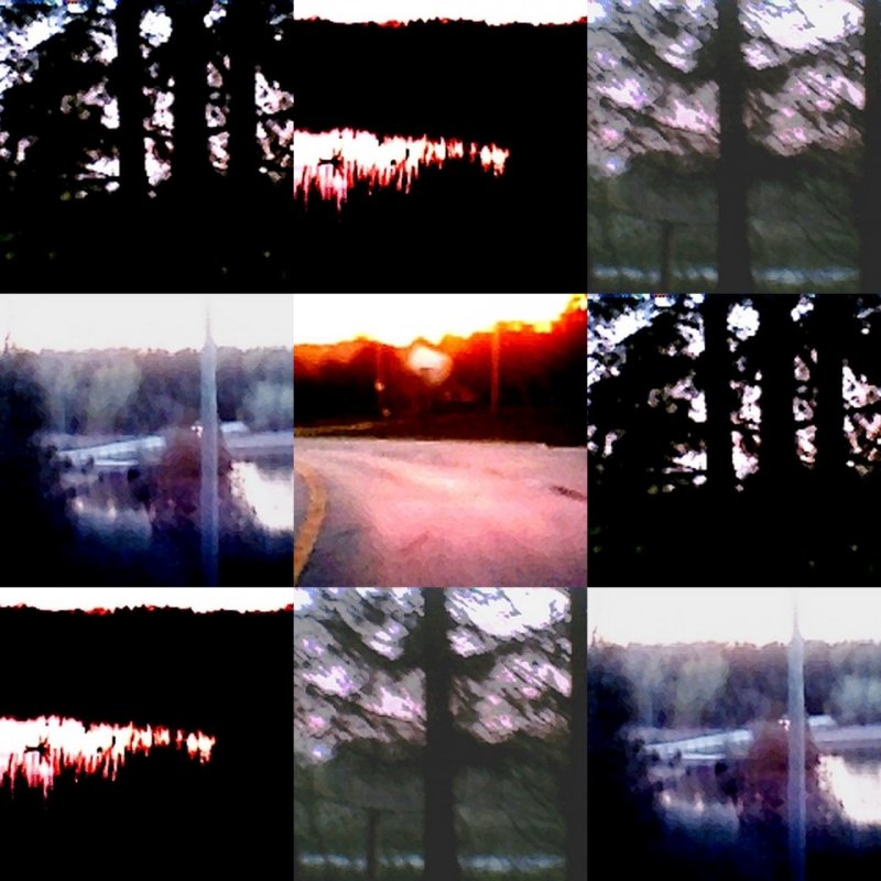 collage127.jpg