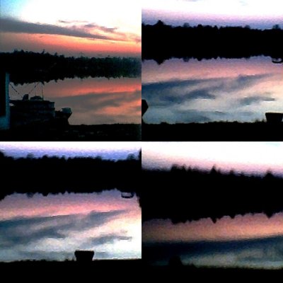 collage120.jpg
