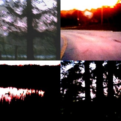 collage126.jpg