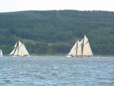 Fife Regatta 2008-4