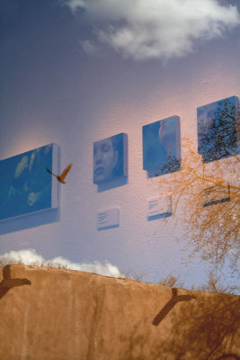 Santa Fe dreams w-bird .jpg
