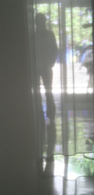 Guy curtain Florida .jpg