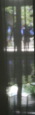 People curtain Florida .jpg