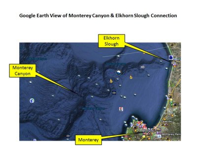 GE Monterey Canyon 082009