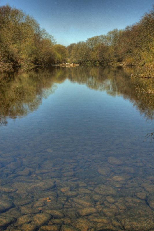 River Wear from Low barnes Nature reserve , Witton Castle